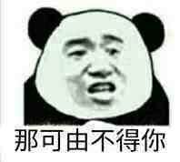 金馆长熊猫00279-那可由不得你.jpg