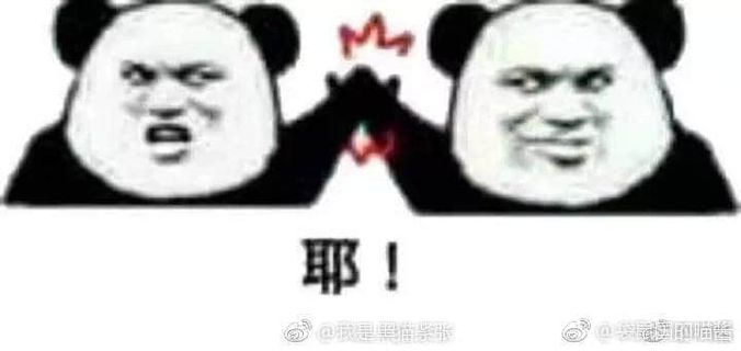 金馆长熊猫00281-耶.jpg