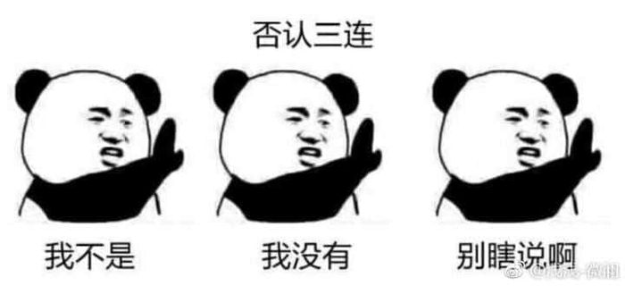 金馆长熊猫00284-否认三连你不是我没有别瞎说啊.jpg
