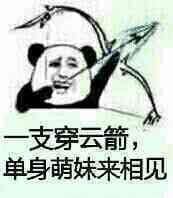 金馆长熊猫00288-一只穿云箭单身萌妹来相见.png