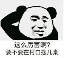 金馆长熊猫00291-这么厉害啊要不要在村口摆几桌.png