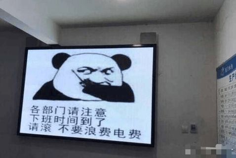 金馆长熊猫00295-各部门请注意下班时间到了请滚不要浪费电费.png