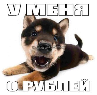 86a76e559f992be27c5a6edf4506b827.jpg